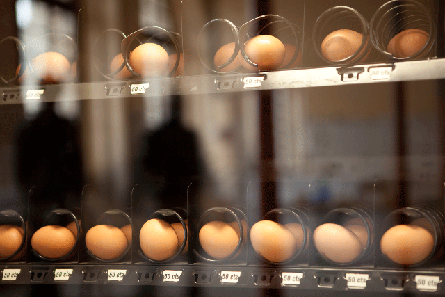 Frech Egg Vending Machine - Thierry Boutonnier - 2012