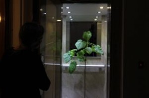 Appel d'air - Sculpture sociale - Depuis 2016